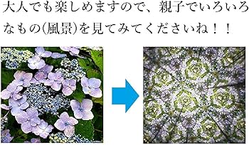 71Rm+b4wCSS._AC_UF350,